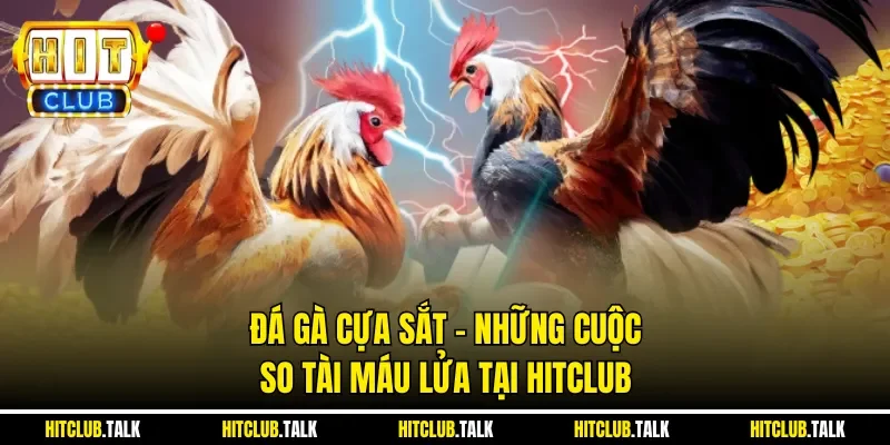 Đá Gà Cựa Sắt